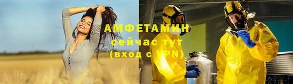 трава Иннополис