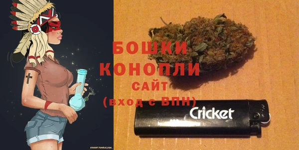 трава Иннополис